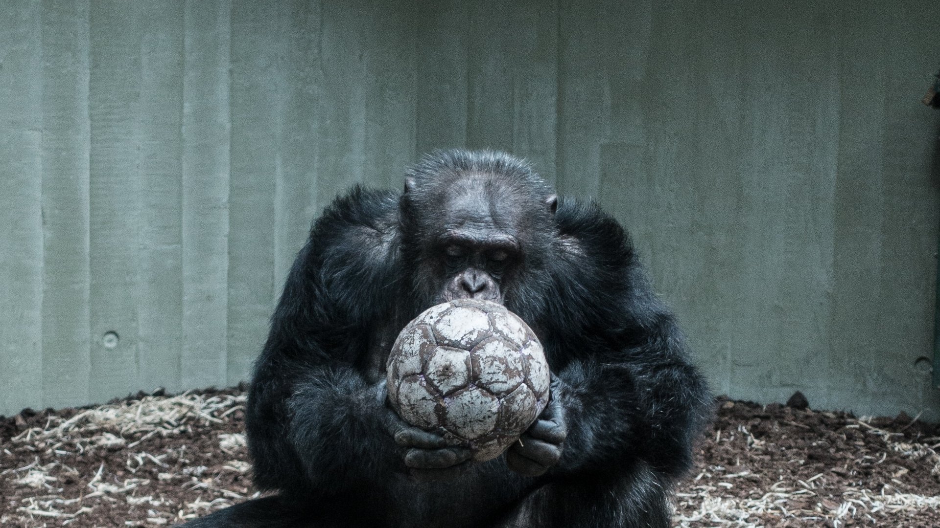 daniel-hansen-pn_TY-8_Pbk-unsplash